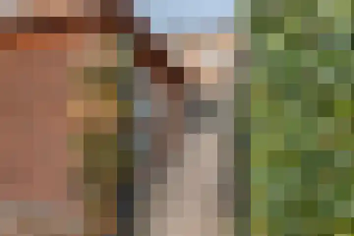 Aardbei 11 Nijkerk thumbnail 40