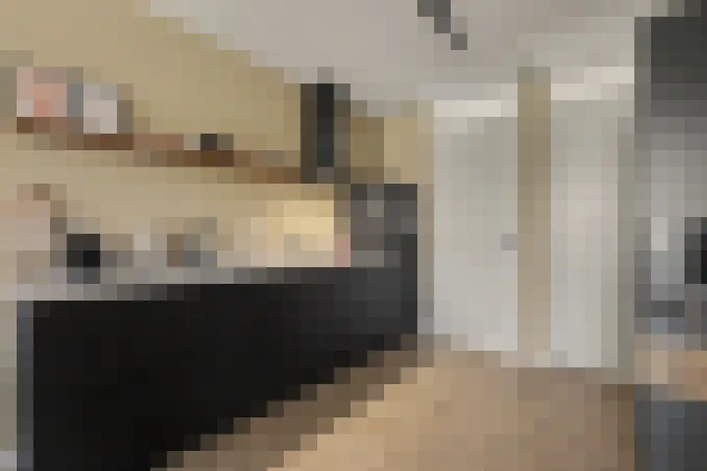 Aardbei 16 Vlijmen thumbnail 10