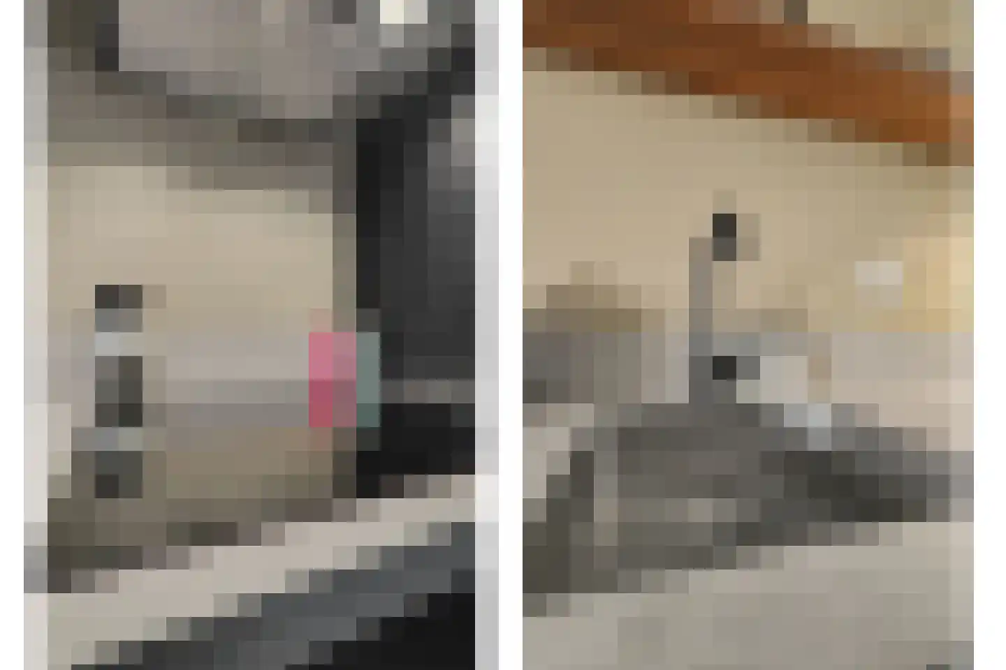 Aardbei 16 Vlijmen thumbnail 11