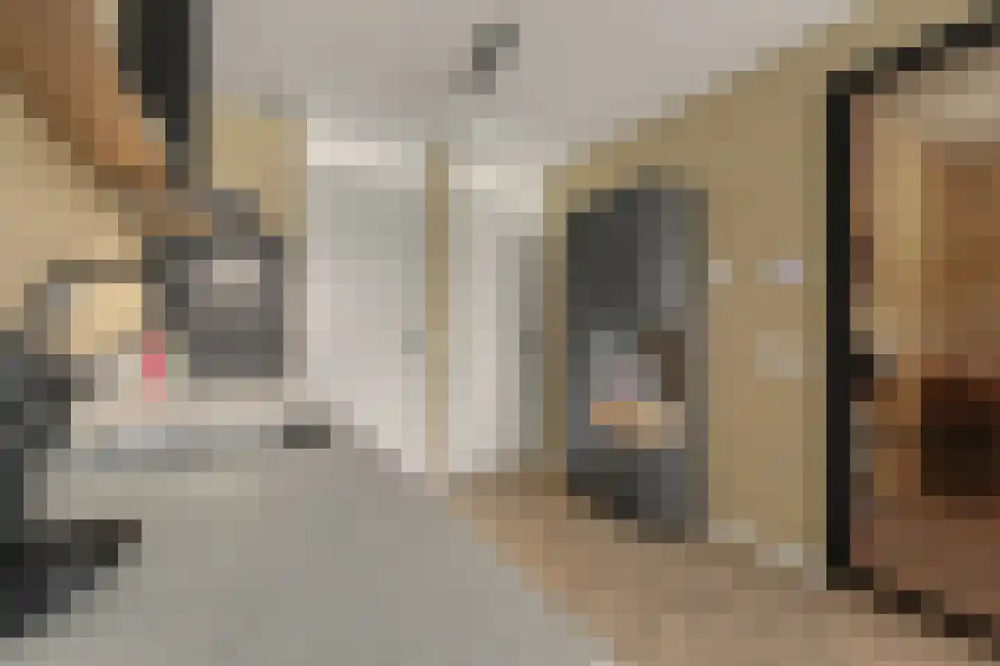 Aardbei 16 Vlijmen thumbnail 12
