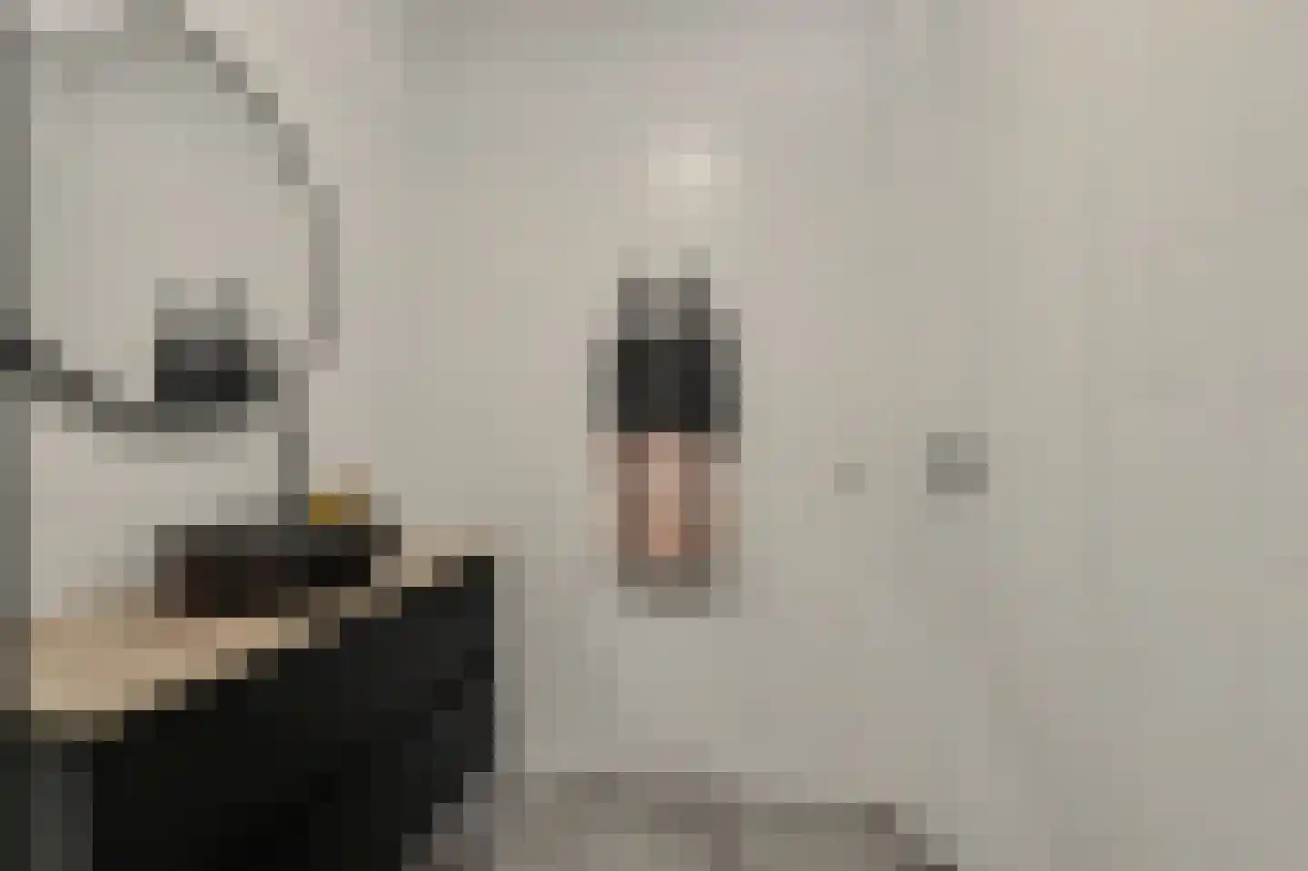 Aardbei 16 Vlijmen thumbnail 17
