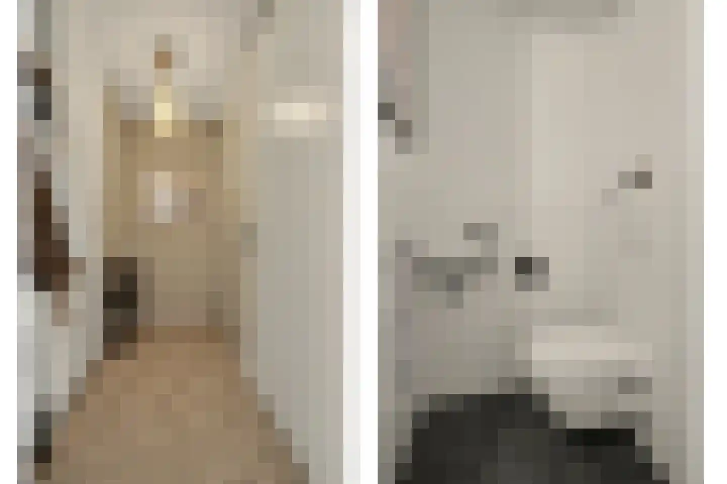 Aardbei 16 Vlijmen thumbnail 21