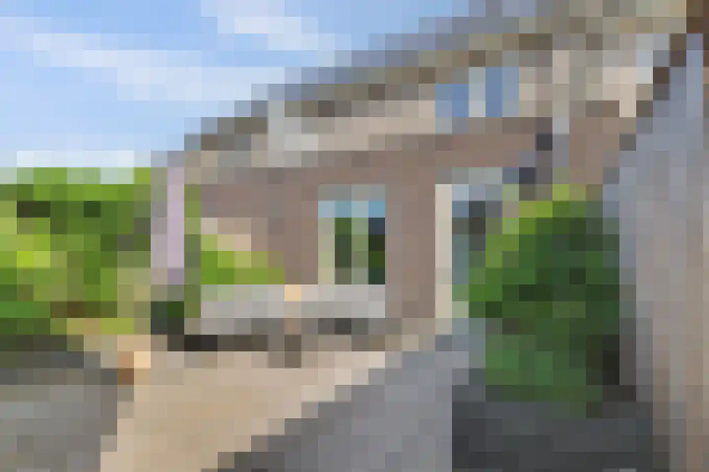 Aardbei 16 Vlijmen thumbnail 23