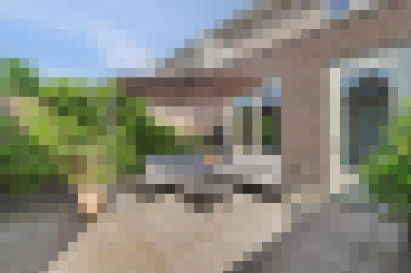 Aardbei 16 Vlijmen thumbnail 24