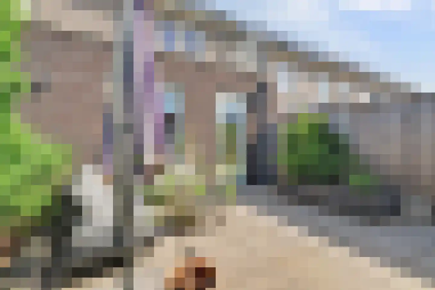 Aardbei 16 Vlijmen thumbnail 25