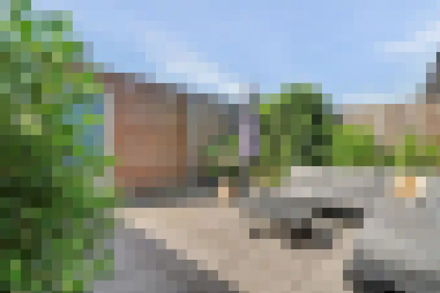 Aardbei 16 Vlijmen thumbnail 26