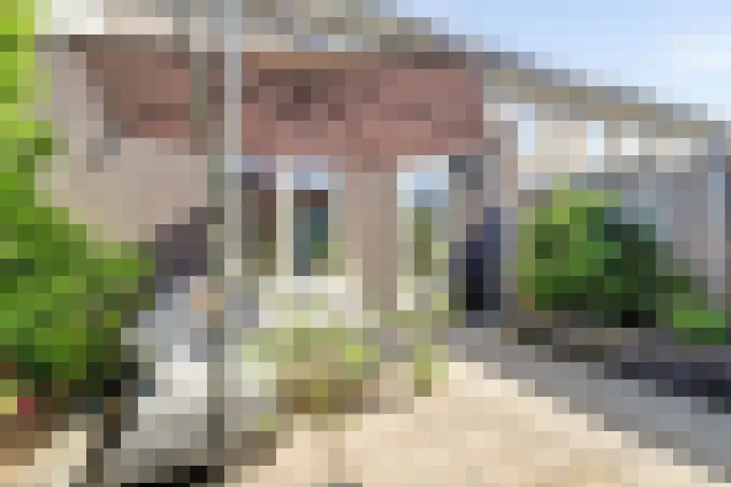 Aardbei 16 Vlijmen thumbnail 29