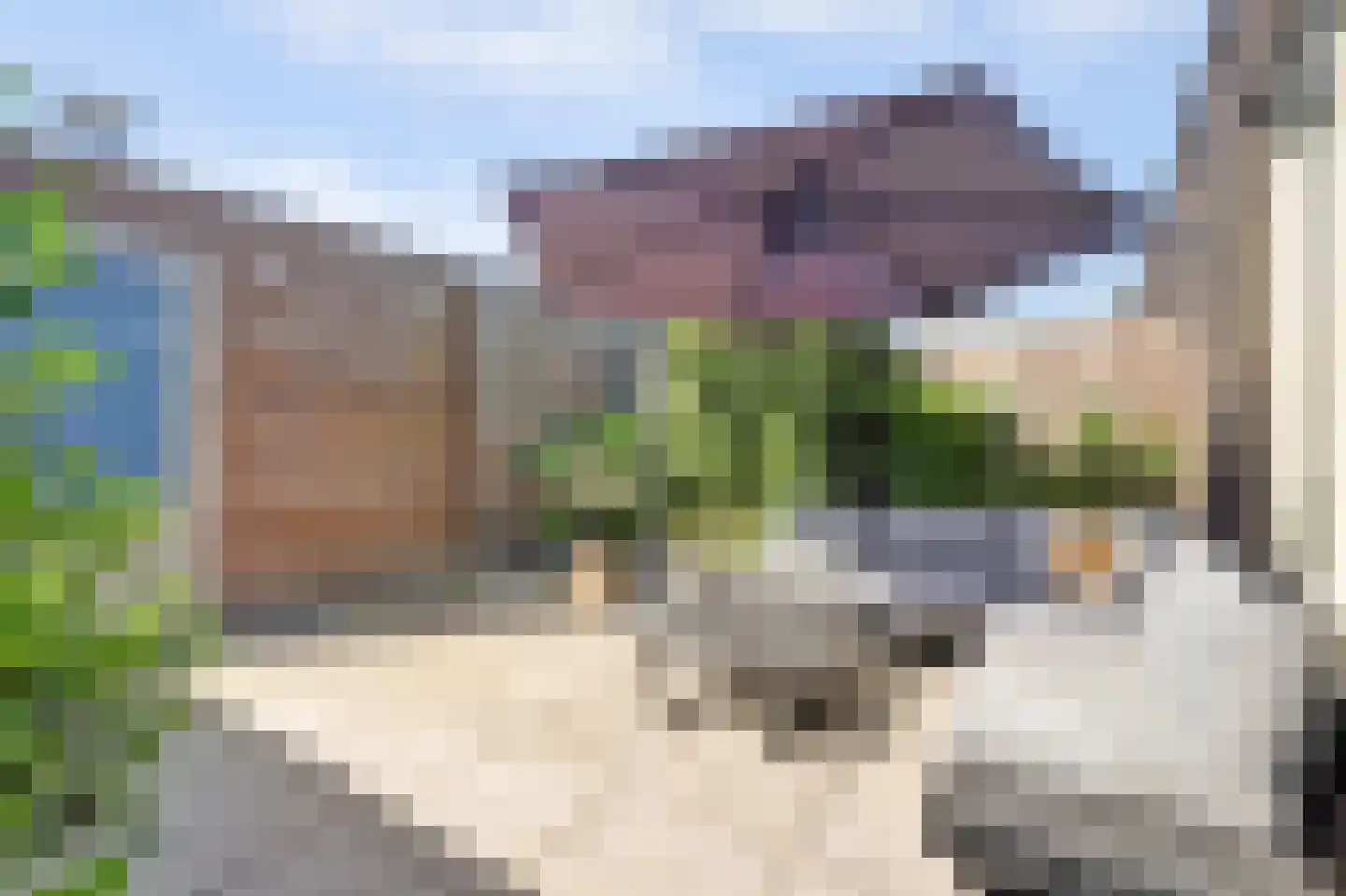 Aardbei 16 Vlijmen thumbnail 30