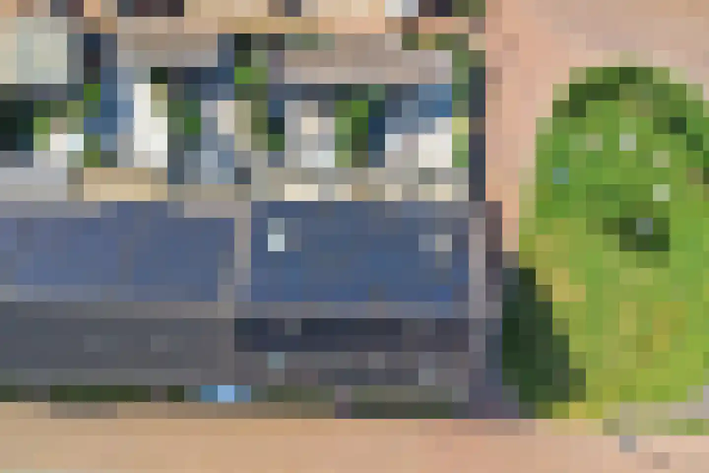 Aardbei 16 Vlijmen thumbnail 34