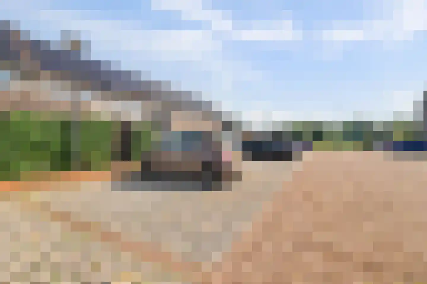 Aardbei 16 Vlijmen thumbnail 35
