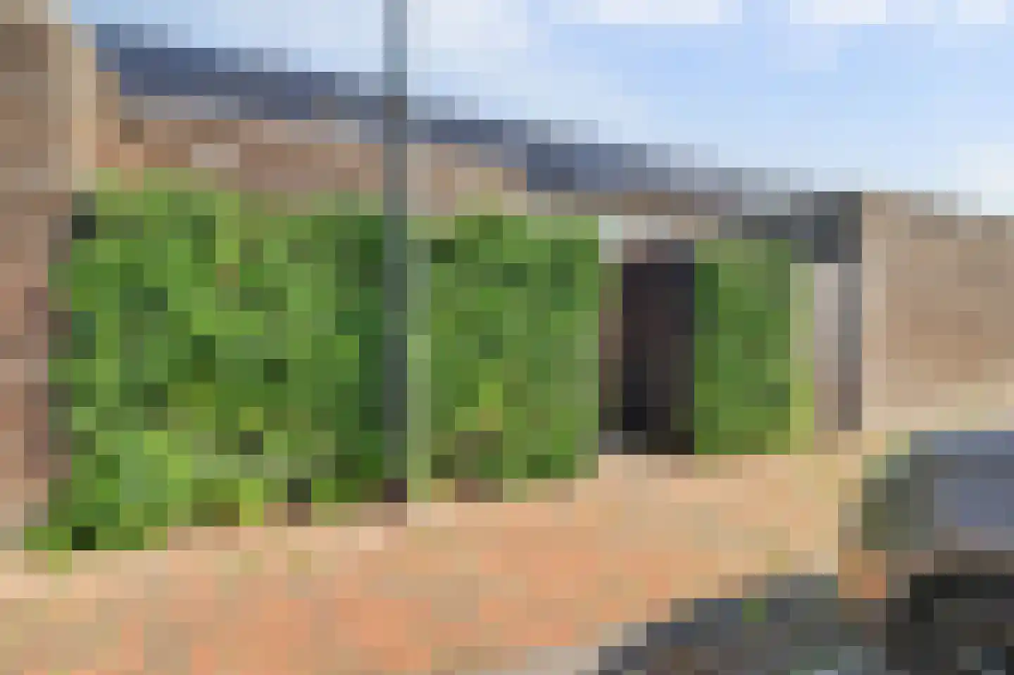 Aardbei 16 Vlijmen thumbnail 36