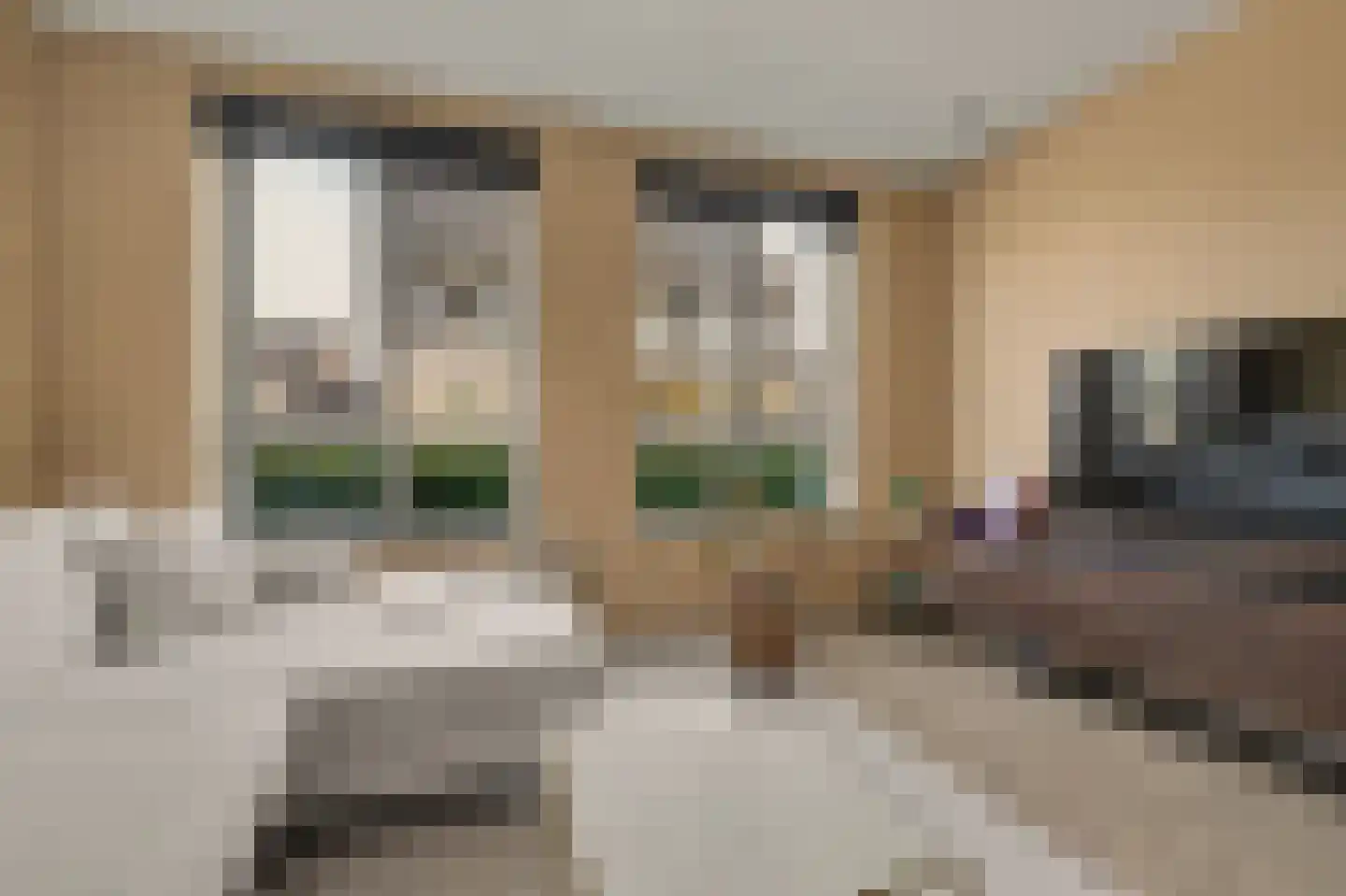 Aardbei 16 Vlijmen thumbnail 4