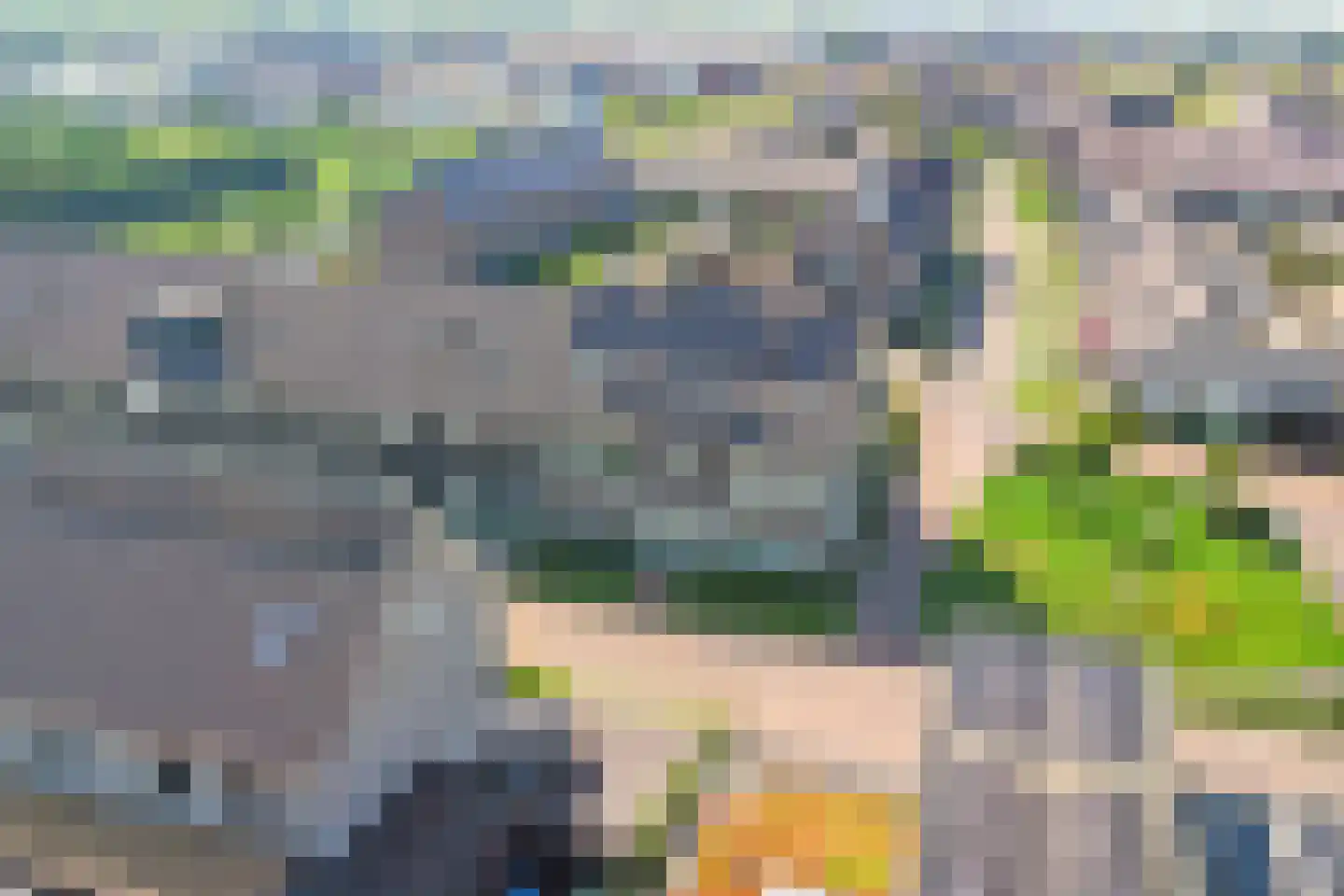 Aardbei 16 Vlijmen thumbnail 41