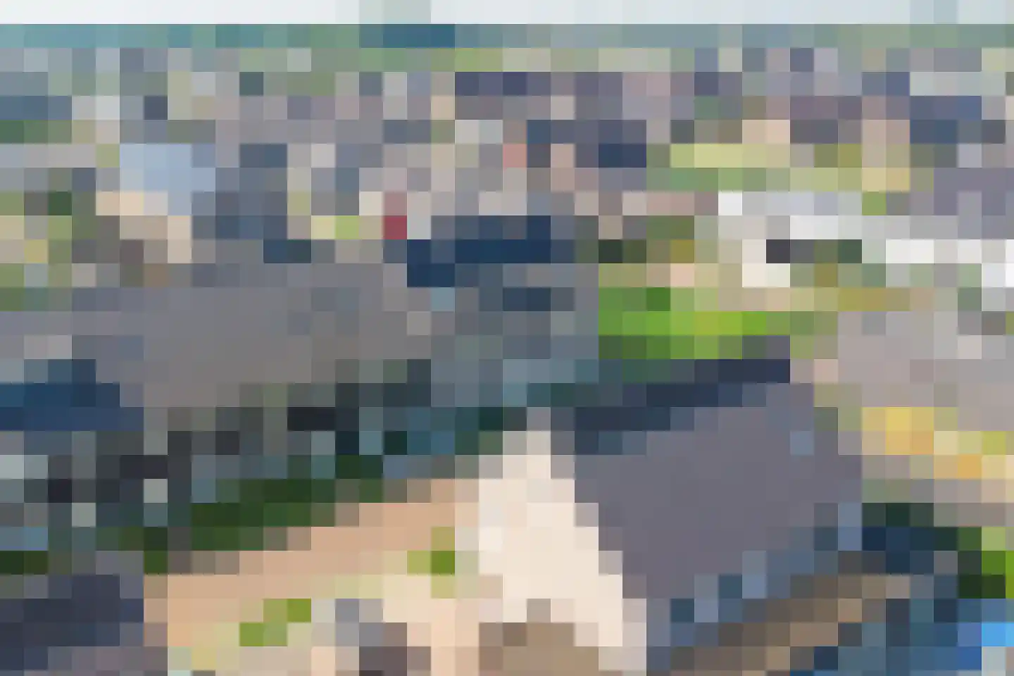 Aardbei 16 Vlijmen thumbnail 42