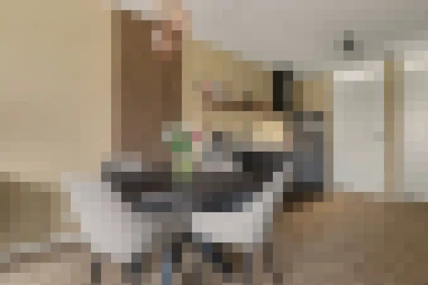 Aardbei 16 Vlijmen thumbnail 7