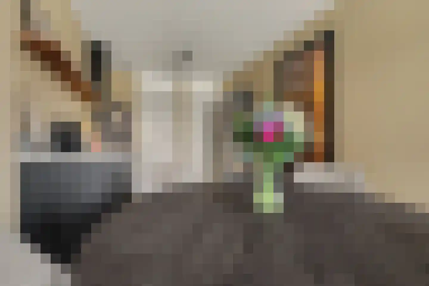 Aardbei 16 Vlijmen thumbnail 8