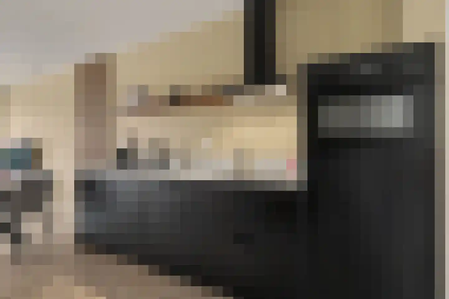 Aardbei 16 Vlijmen thumbnail 9