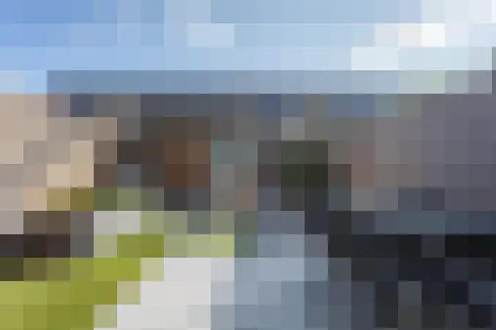 Aardbei 6 Vlijmen thumbnail 13