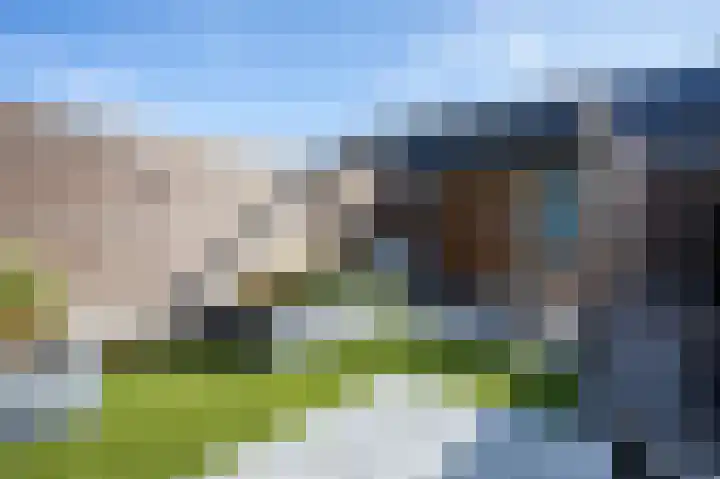 Aardbei 6 Vlijmen thumbnail 14