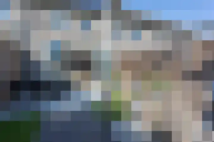 Aardbei 6 Vlijmen thumbnail 15
