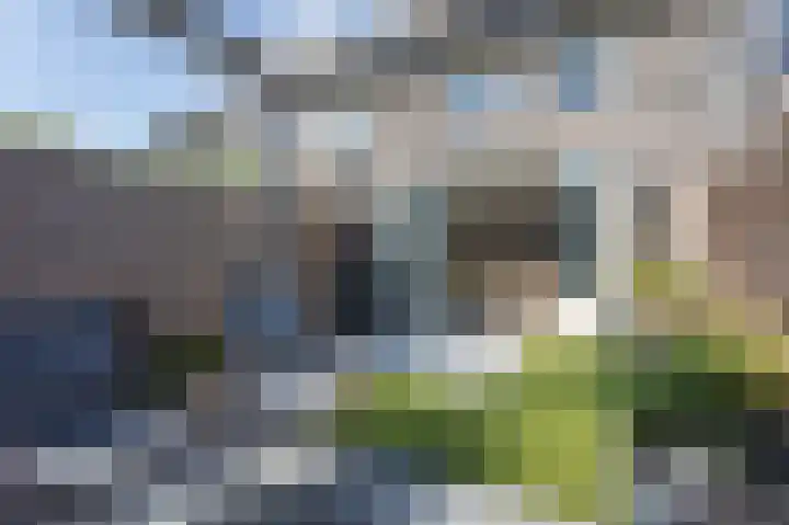 Aardbei 6 Vlijmen thumbnail 16