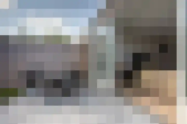 Aardbei 6 Vlijmen thumbnail 17