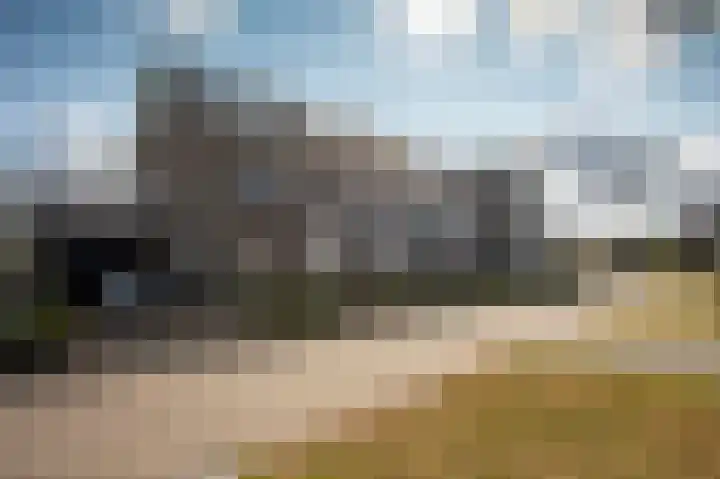 Aardbei 6 Vlijmen thumbnail 29