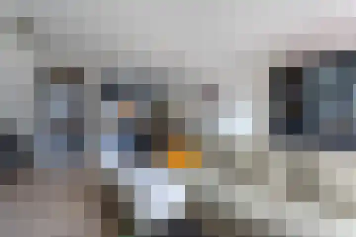 Aardbei 6 Vlijmen thumbnail 6