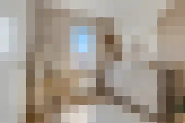 Aardbei 7 Nijkerk thumbnail 20