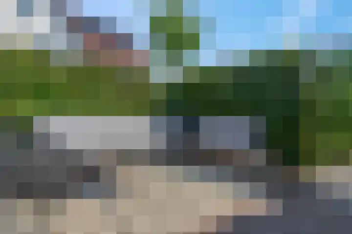 Aardbei 7 Nijkerk thumbnail 29