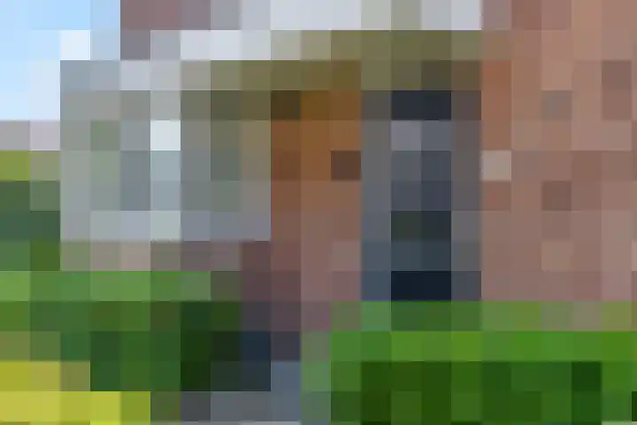 Aardbei 7 Nijkerk thumbnail 30
