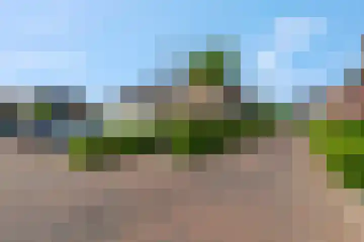 Aardbei 7 Nijkerk thumbnail 31