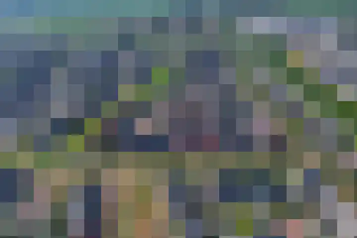 Aardbei 7 Nijkerk thumbnail 34