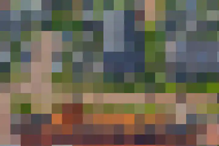Aardbei 7 Nijkerk thumbnail 36