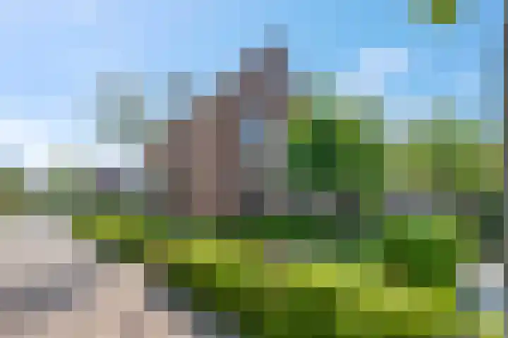 Aardbei 7 Nijkerk thumbnail 43