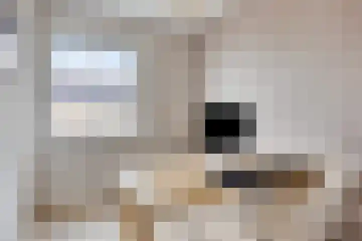 Aardbei 8 Vlijmen thumbnail 22