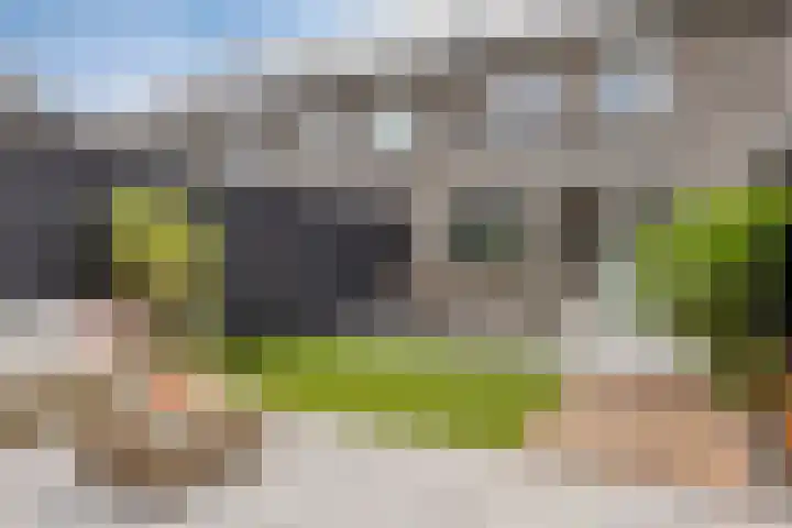 Aardbei 8 Vlijmen thumbnail 32