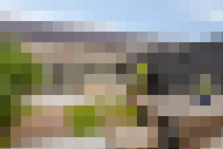 Aardbei 8 Vlijmen thumbnail 33