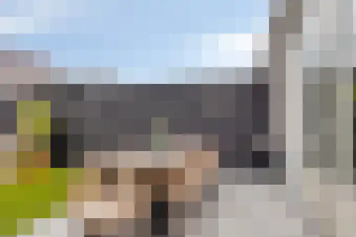Aardbei 8 Vlijmen thumbnail 34