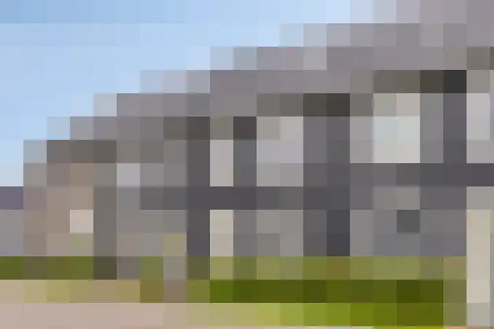 Aardbei 8 Vlijmen thumbnail 39