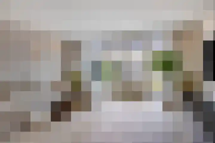 Aardbei 8 Vlijmen thumbnail 4