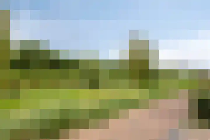 Aardbei 8 Vlijmen thumbnail 41