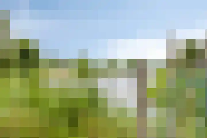 Aardbei 8 Vlijmen thumbnail 42