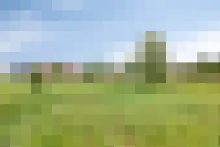 Aardbei 8 Vlijmen thumbnail 43