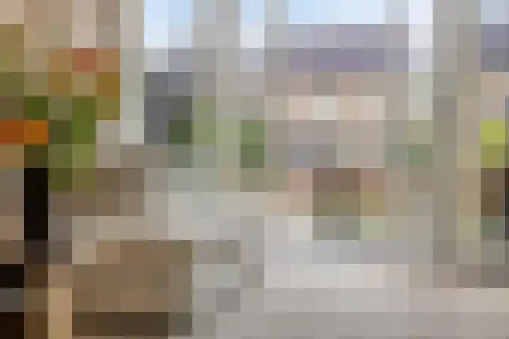 Aardbei 8 Vlijmen thumbnail 6