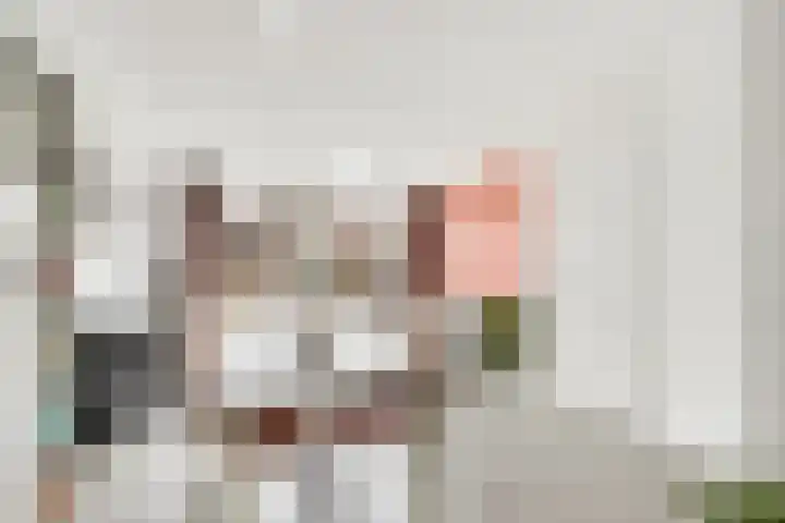 Aardbei 9 Nijkerk thumbnail 10