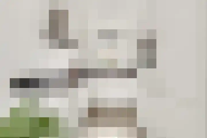 Aardbei 9 Nijkerk thumbnail 11