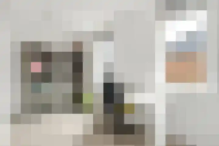 Aardbei 9 Nijkerk thumbnail 15