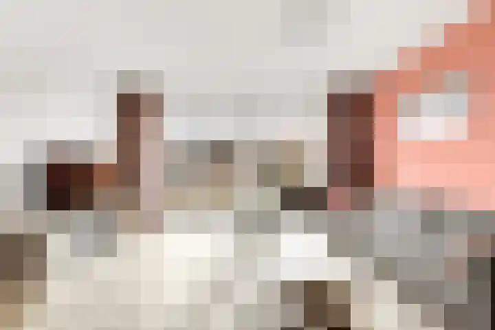 Aardbei 9 Nijkerk foto 2