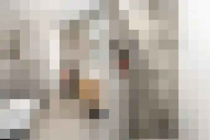 Aardbei 9 Nijkerk thumbnail 20